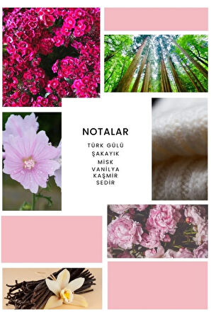 ixora Sacré Kadın Parfüm 50 ML