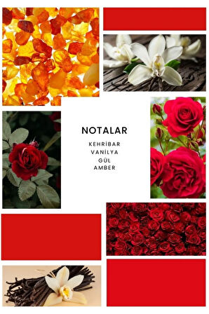 ixora Renommé Kadın Parfüm 50 ML