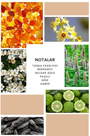 ixora Esprit Kadın Parfüm B367 - 100ml