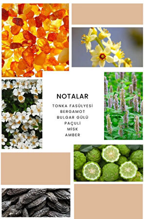 ixora Esprit Kadın Parfüm B367 - 50ml