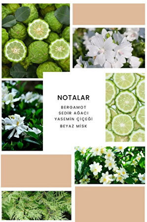 K368 Rubis Kadın Parfüm 100ml