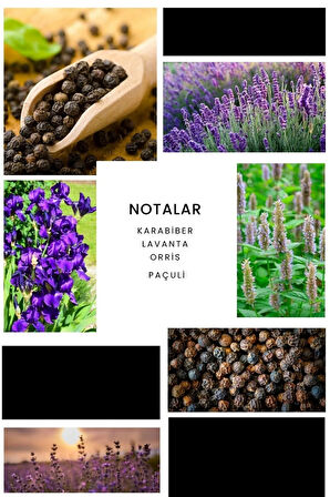 E283 Delmare Erkek Parfüm 50ml