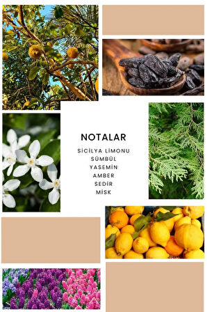 K371 Romantic Kadın Parfüm 50 ml Edp