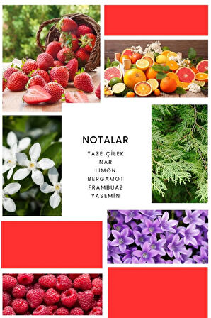 K372 Strawberry Woman Kadın Parfümü 50 ml Edp