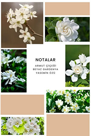 ixora Eclat Kadın Parfüm B376 - 50 ml EDP