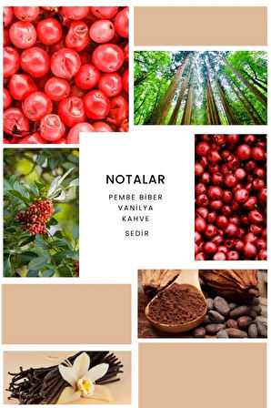 K373 Black Orient Kadın Parfüm 100 ml Edp