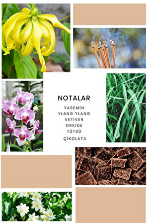 ixora Velvet Kadın Parfüm B377 - 50 ml EDP