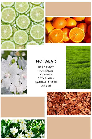 ixora Nomade Kadın Parfüm B378 - 100 ml EDP