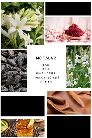 ixora Imblack Erkek Parfüm E290 - 100 ml EDP