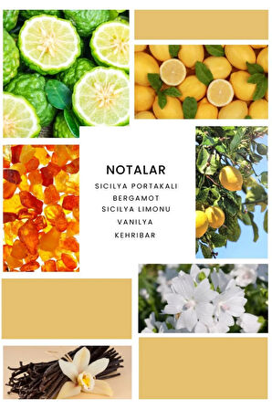 Valor Caddy Parfüm Unisex 100 ml EDP