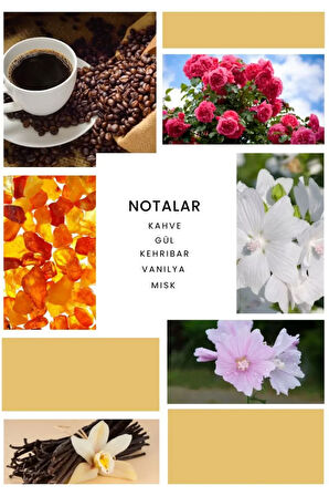 Valor Tonia Parfüm Unisex 100 ml Edp