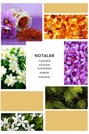 Valor Marcius Parfüm Unisex 100 ml EDP