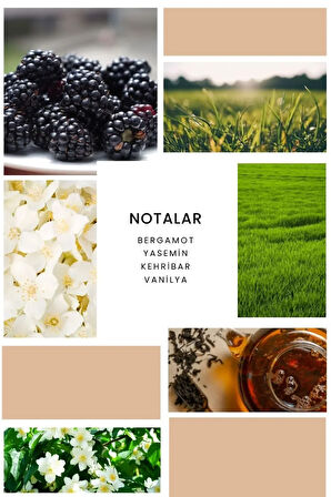 K381 Paradoxe Kadın Parfüm 100 ml Edp