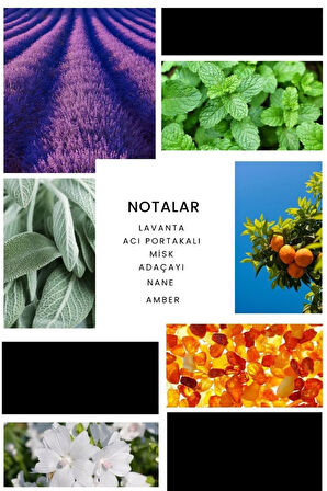 E293 Luna Erkek Parfüm 50 ml Edp