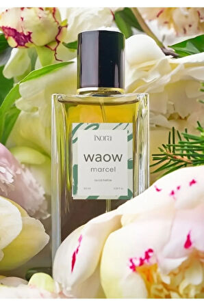 Waow Marcel Unisex Parfüm 100 ml