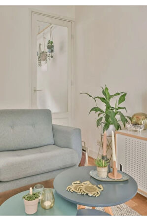 Diffuser:Spring Evinizin Ruhunu Yenileyin