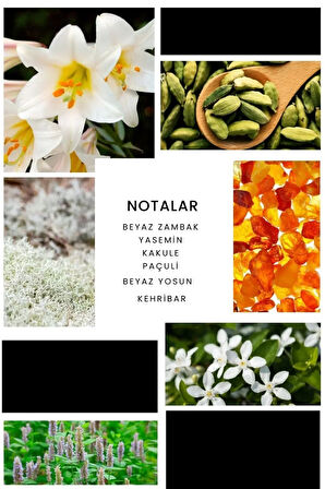 E295 Ombre Erkek Parfüm 100 ml Edp