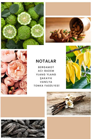 K383 Blush Kadın Parfüm 100 ml Edp