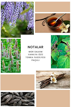 K384 Elixir Kadın Parfüm 100 ml Edp