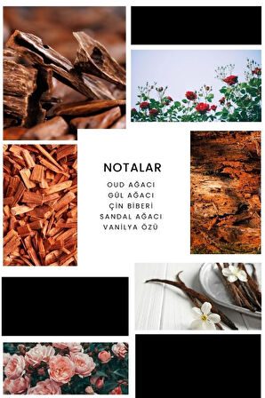 E299 Oud Erkek Parfüm 100 ml Edp