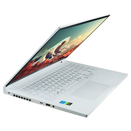 Quantum WhiteFang G5040 intel i5-13420H  8GB 500GB RTX3050 4GB HDMI 16" FreeDos Gaming Notebook QNNTB10F007265