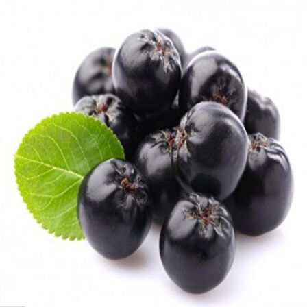 Viking Siyah Aronya Aronia Chokeberry Fidanı (10-20 cm) 20 adet