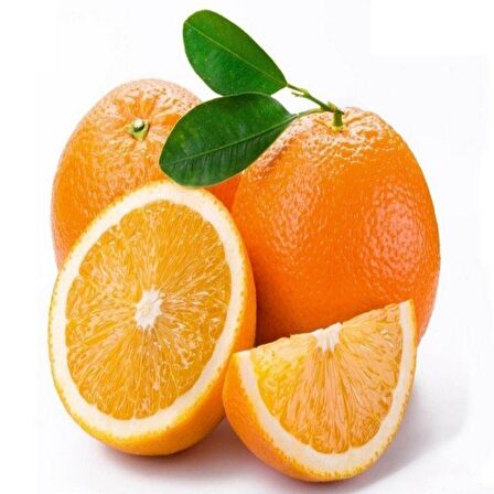 Tüplü Washıngton Portakal Fidanı