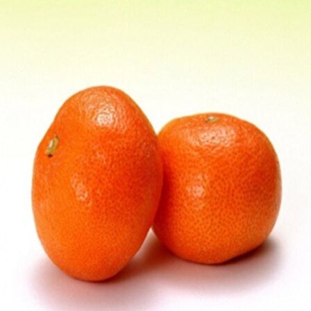 Tüplü Şeker Oranı Yüksek Fremont Mandalin Fidanı