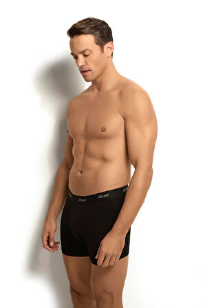 JBR0321.001 BOXER