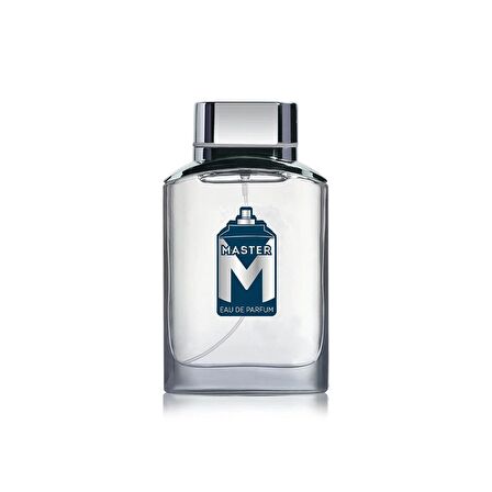 Sansiro Master Erkek Parfüm 100ml Edp