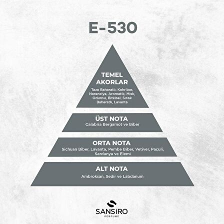 Sansiro E-530 Erkek Parfüm 50ml Edp