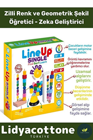 Premium Zeka Geliştirici Öğretici Lineup Single Ring Bul Sırala Ögren Tek Oyuncu Zilli Oyun