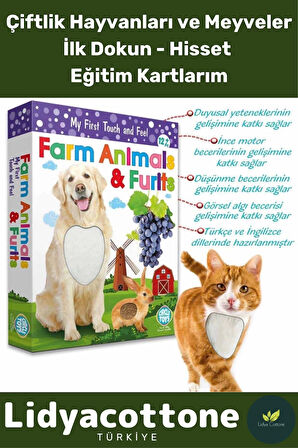 Premium I?nce Motor Gelişimi Görsel Algı Öğrenme Dokun Hisset Çiftlik Hayvanları Ve Meyveler