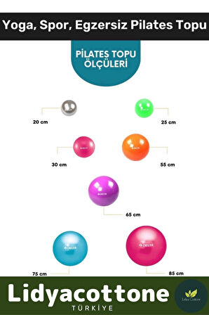 Mini Gymball 20cm Mavi Pilates Denge Egzersiz Topu Profesyonel Seri Şişirme Pompa