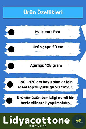 Mini Gymball 20cm Mavi Pilates Denge Egzersiz Topu Profesyonel Seri Şişirme Pompa