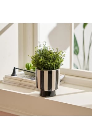 Karaca Home Belissia Saksı 12.5x12.5x13.5 cm