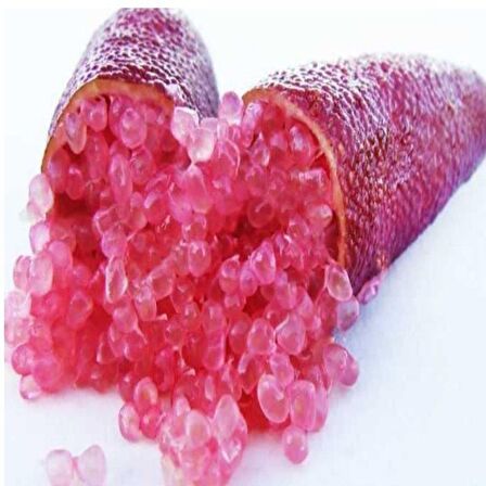 Meyve Verme Yaşında Tüplü Havyar Limon Mia Rose Finger Lime Fidanı