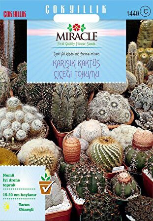 Miracle Karışık Kaktüs Bitkileri Çiçeği Tohumu (9000 tohum)