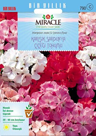 Miracle Colorama Karışık Renkli Hibrit Sardunya Çiçeği Tohumu (24 tohum)