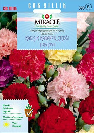 Miracle Chabaud Mixed Karışık Renkli Karanfil Çiçeği Tohumu (190 tohum)