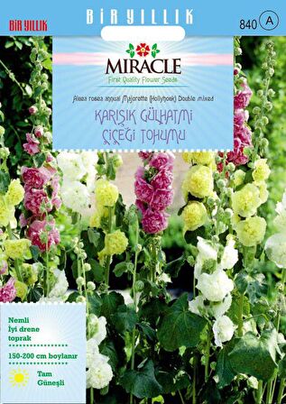 Miracle Karışık Renkli Katmerli Gül Hatmi Çiçeği Tohumu (40 tohum)