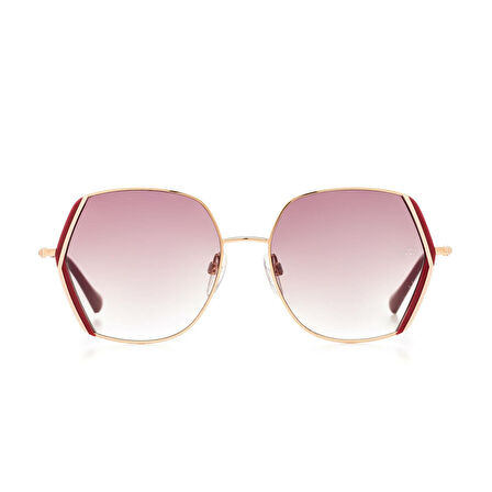 Ana Hickmann AH 3257 P02 Kadın Güneş Gözlüğü
