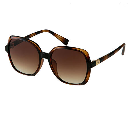 Blancia Milano BC 1223 C 2