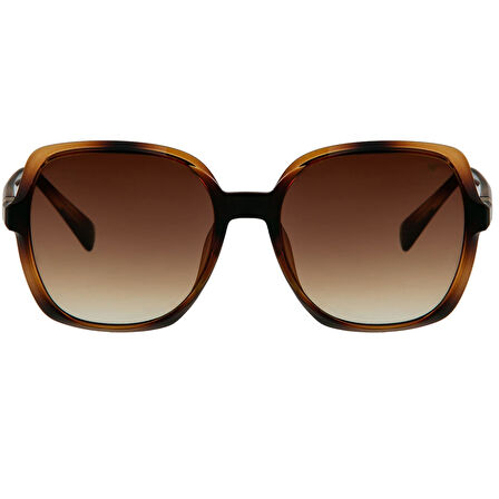 Blancia Milano BC 1223 C 2