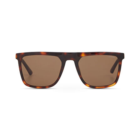 Cerruti 1881 CR 80085 Erkek Güneş Gözlüğü