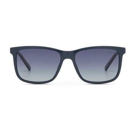 Despada DS 2498 C4 Unisex Güneş Gözlüğü