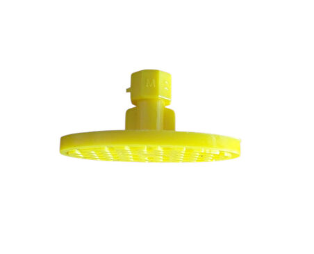 20714 Öpücük oval düz 20714