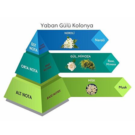 Venilia Yaban Gülü 80 Derece Sprey Pet Şişe 30 ml Kolonya