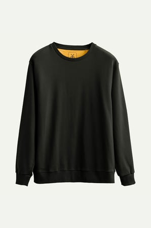 Antrasit Erkek Basic Regular Sweatshirt | (Ruga - Asphalt)