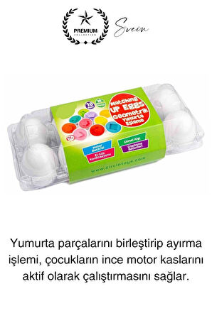 12'li Geometrik Yumurta Eşleme Oyunu Motor Gelişim Görsel Algı Şekilli Eğitici Öğretici Oyuncak